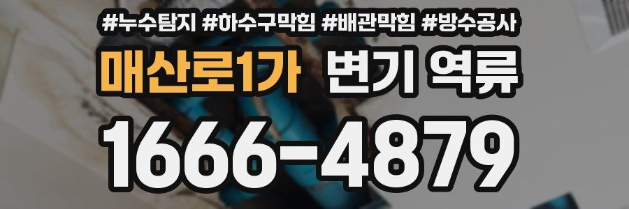 매산로1가 변기 역류