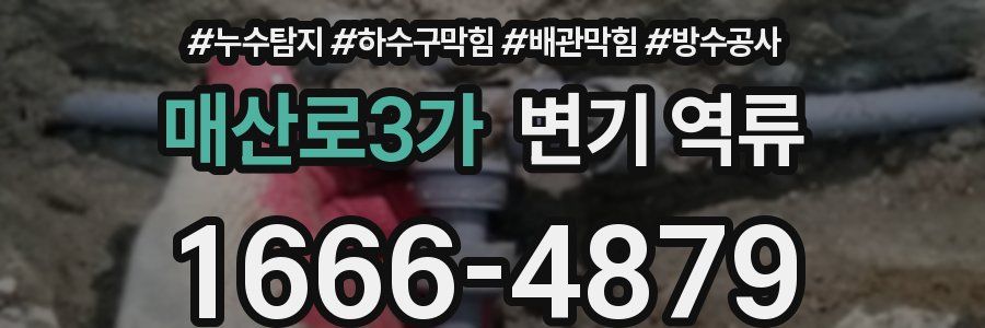 매산로3가 변기 역류