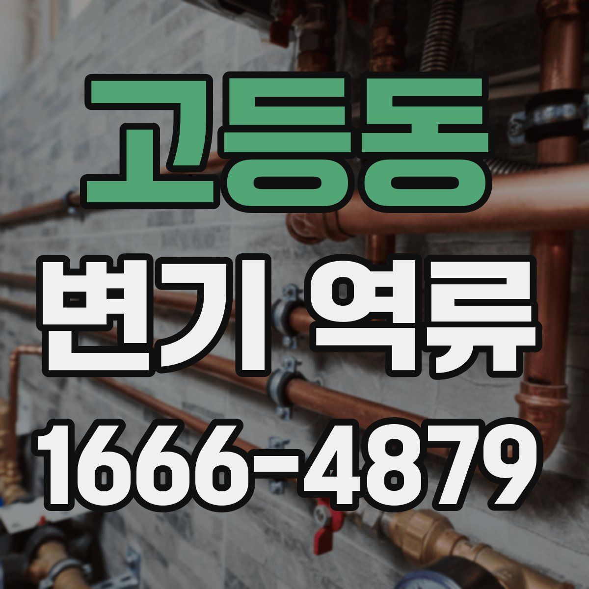 고등동 변기 역류