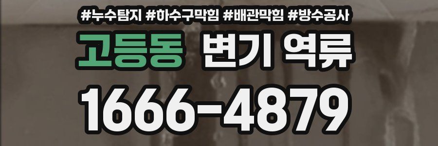 고등동 변기 역류