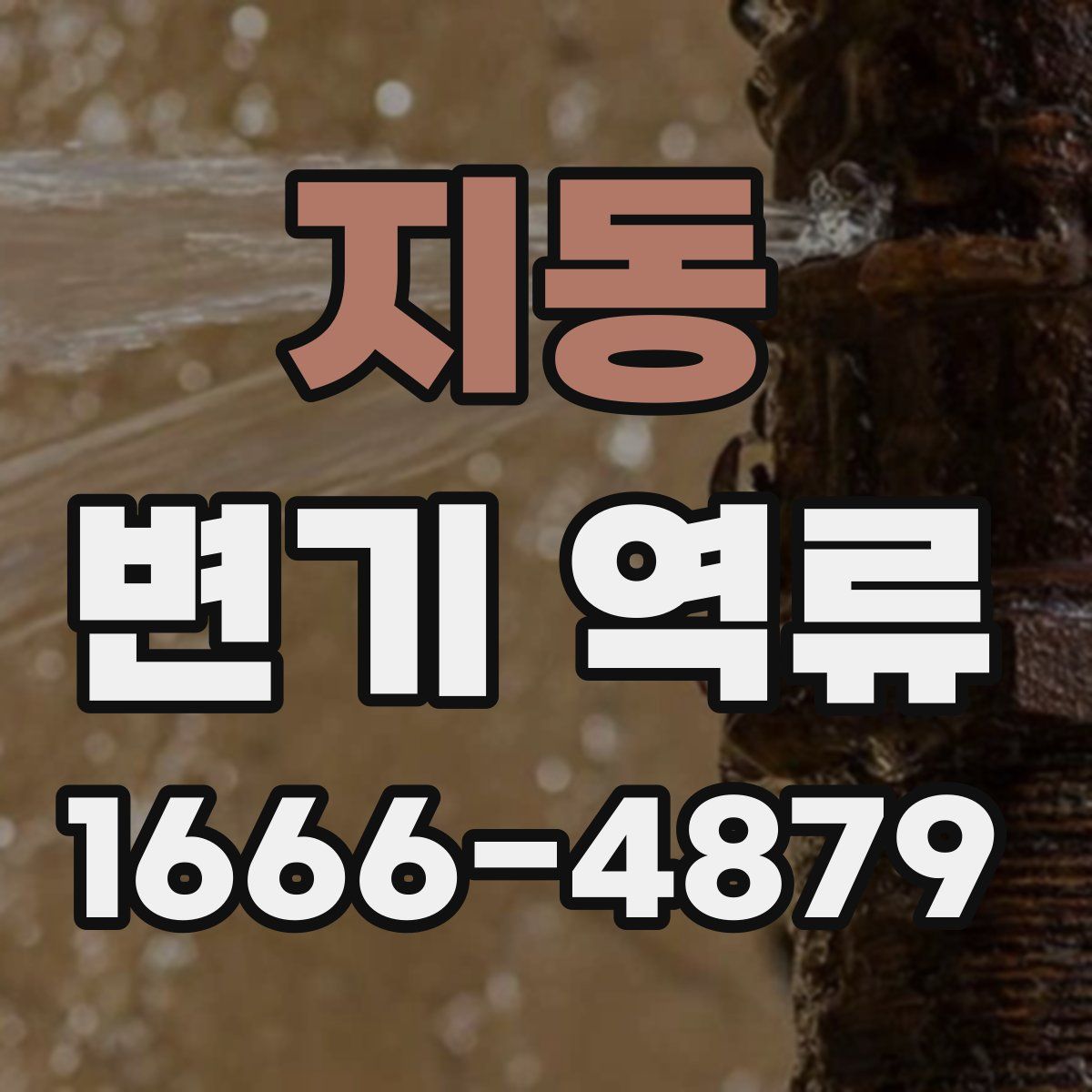 지동 변기 역류