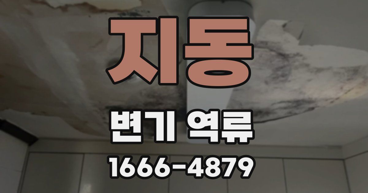 지동 변기 역류