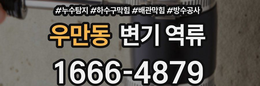 우만동 변기 역류
