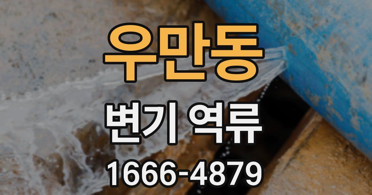 우만동 변기 역류