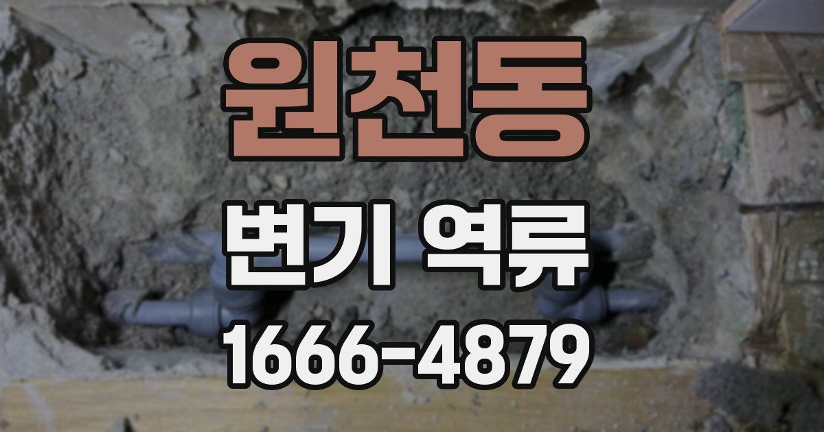 원천동 변기 역류