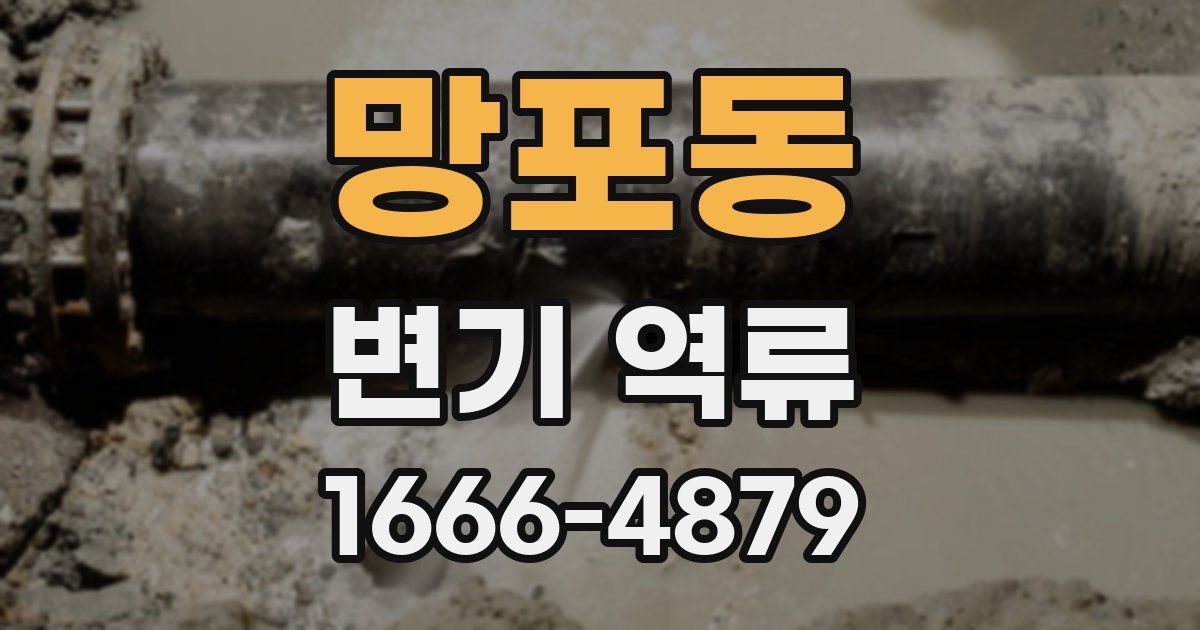 망포동 변기 역류