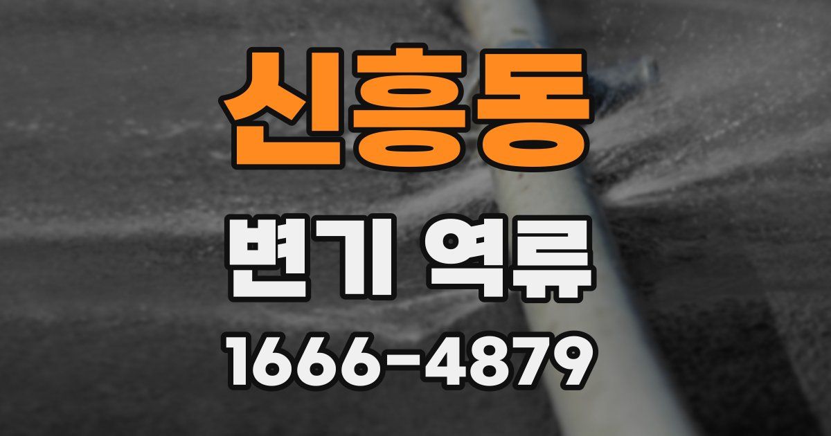 신흥동 변기 역류