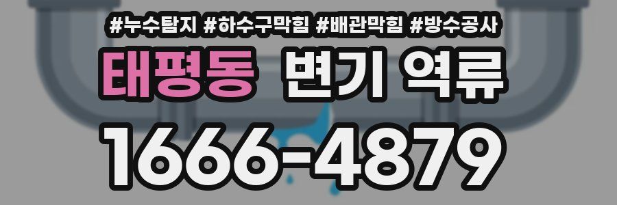 태평동 변기 역류