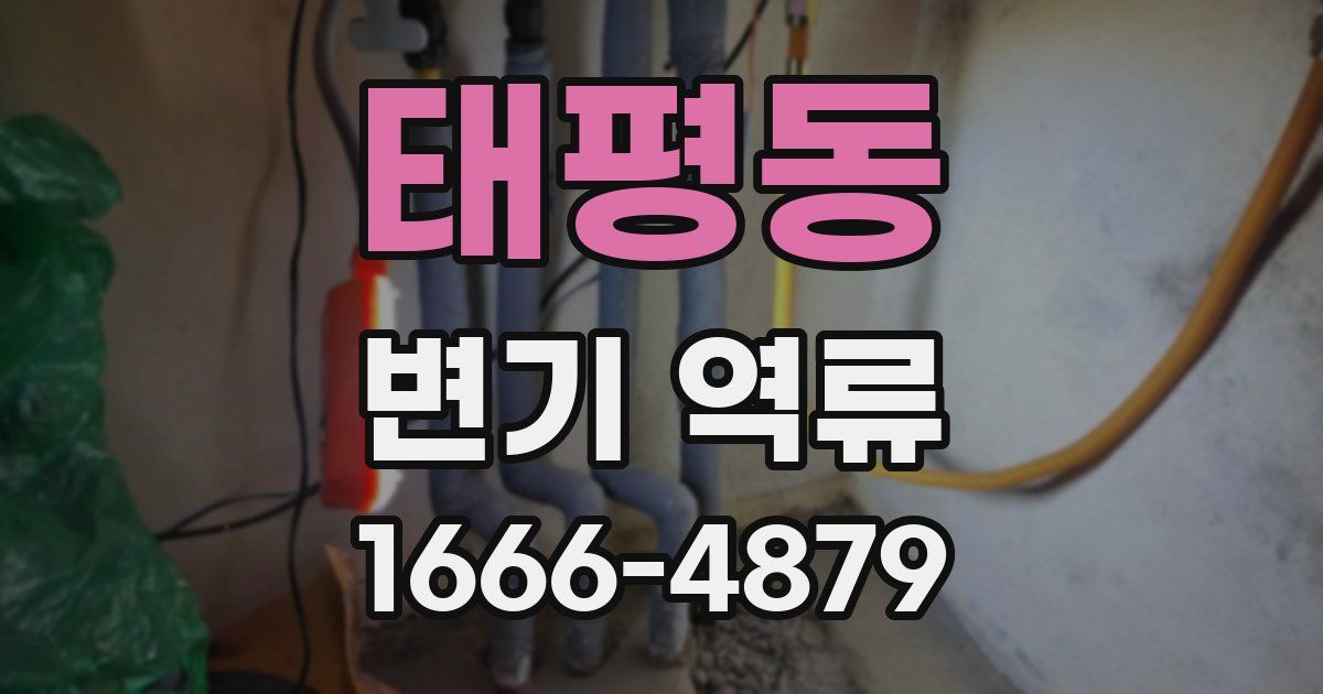 태평동 변기 역류
