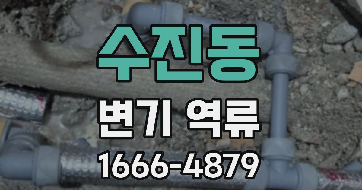 수진동 변기 역류