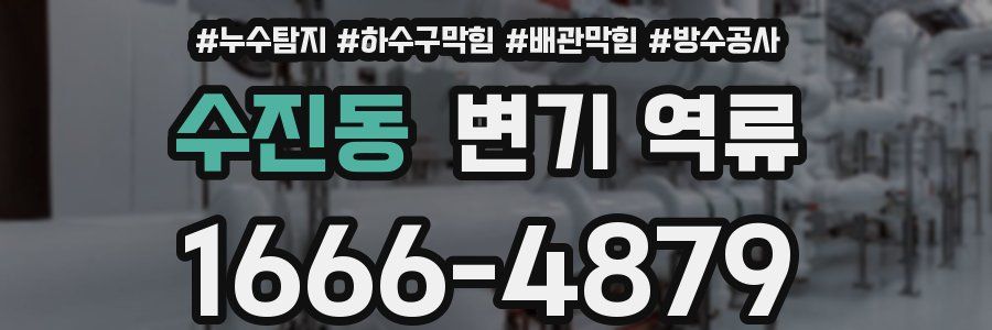 수진동 변기 역류