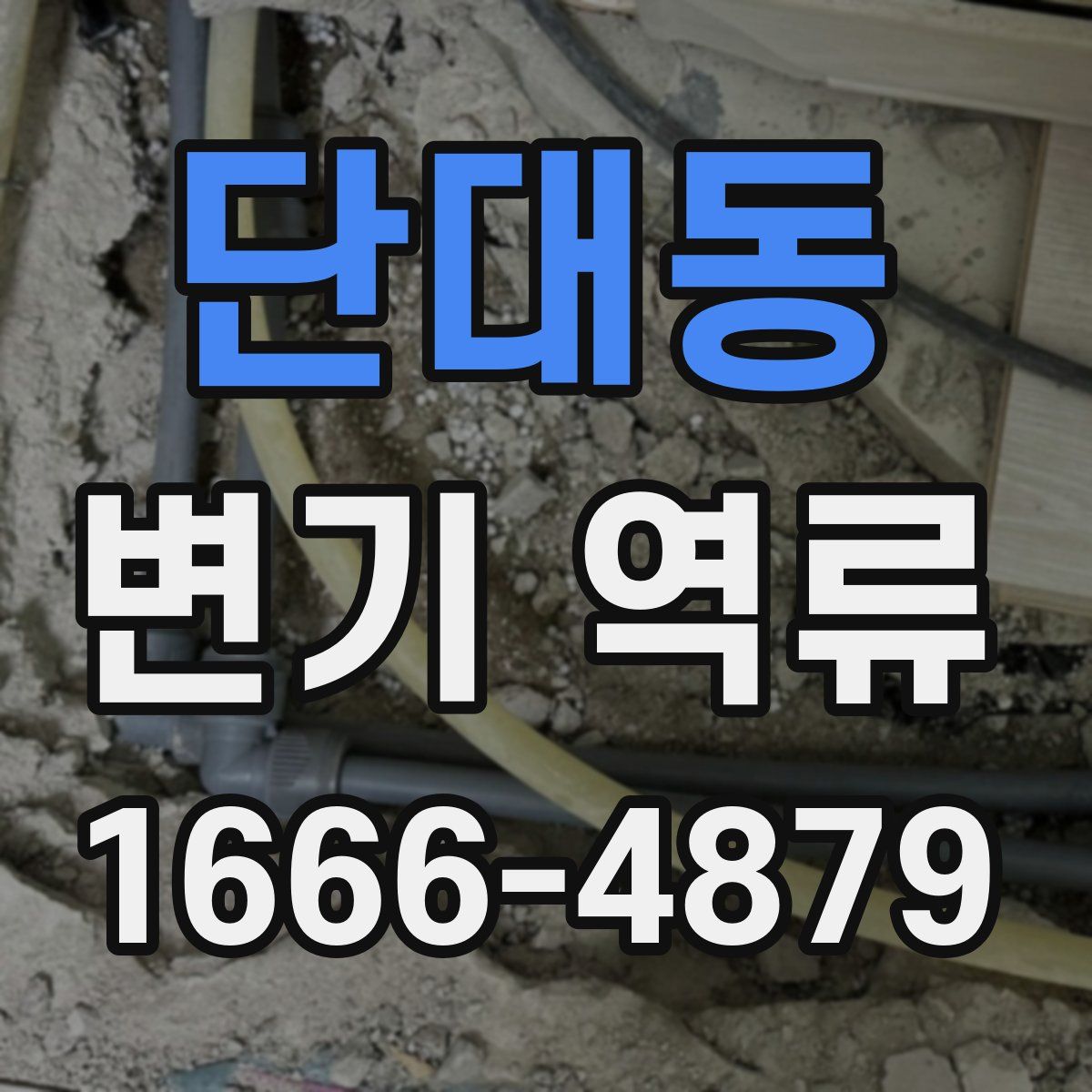 단대동 변기 역류
