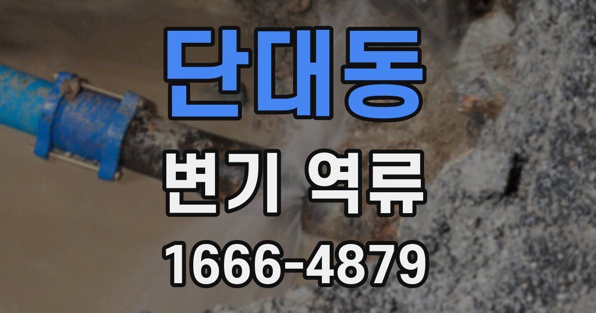 단대동 변기 역류