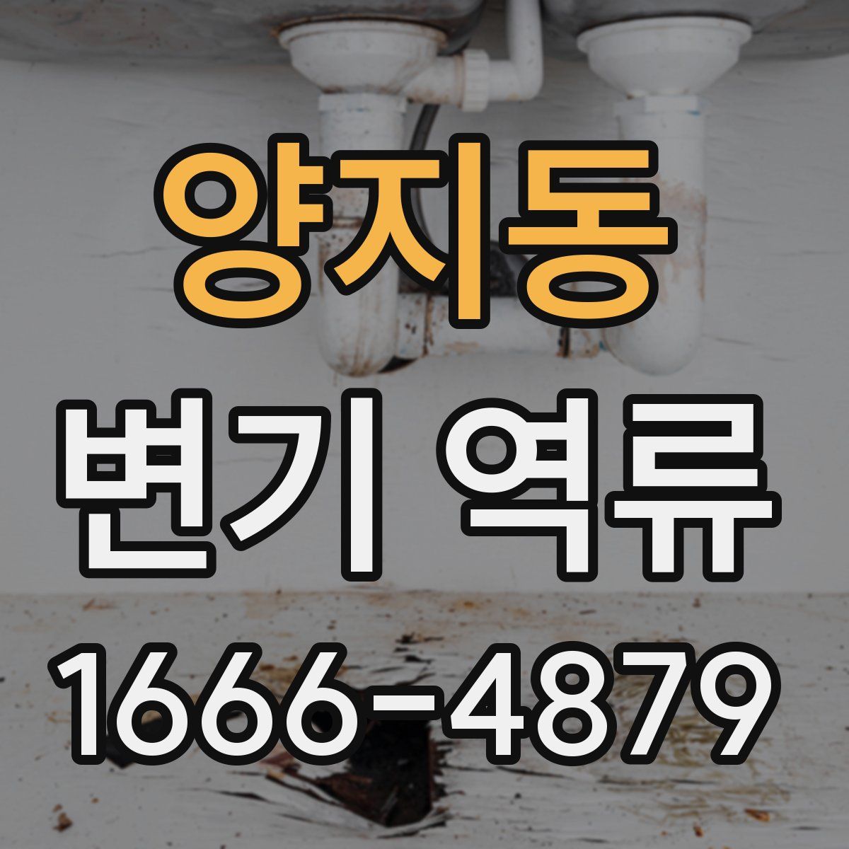 양지동 변기 역류