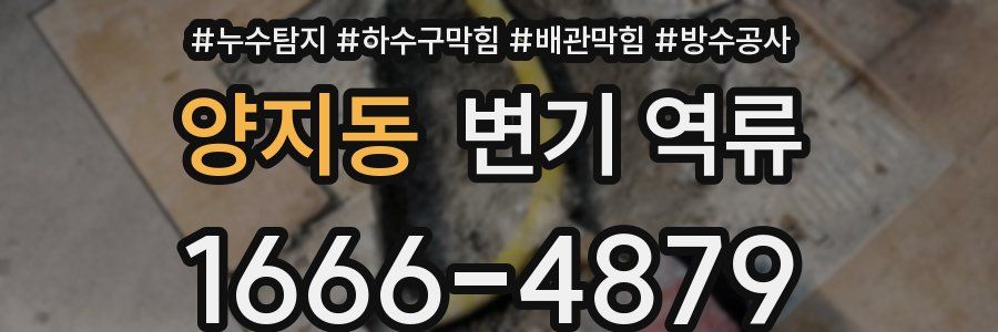 양지동 변기 역류