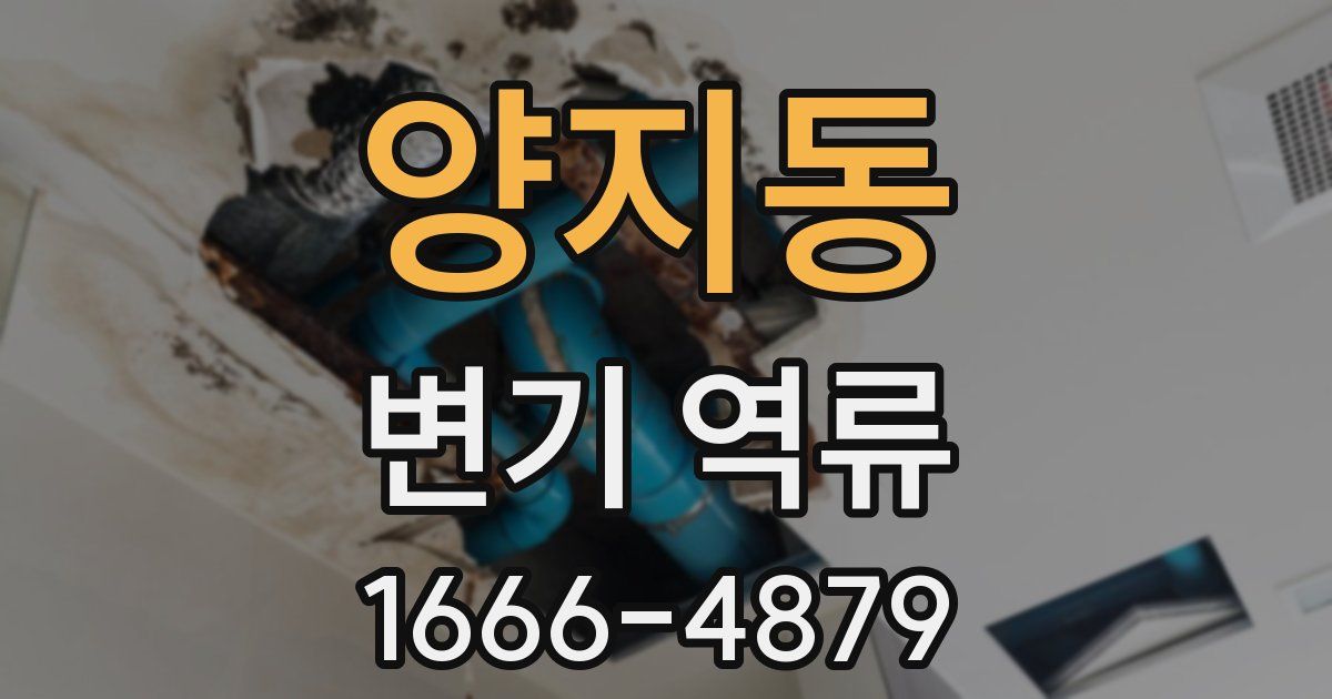 양지동 변기 역류