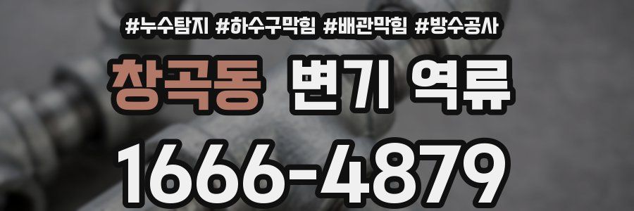창곡동 변기 역류
