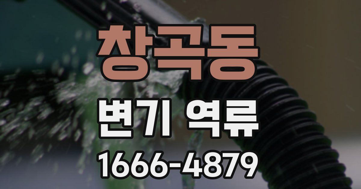 창곡동 변기 역류
