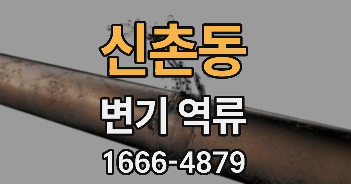 신촌동 변기 역류