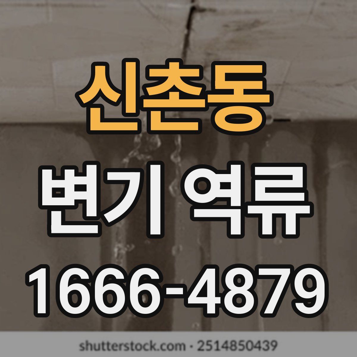 신촌동 변기 역류