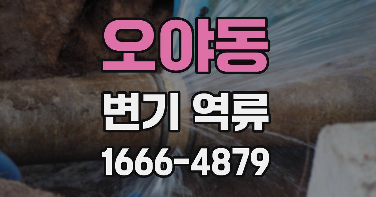 오야동 변기 역류