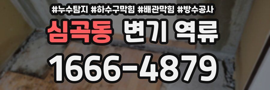 심곡동 변기 역류