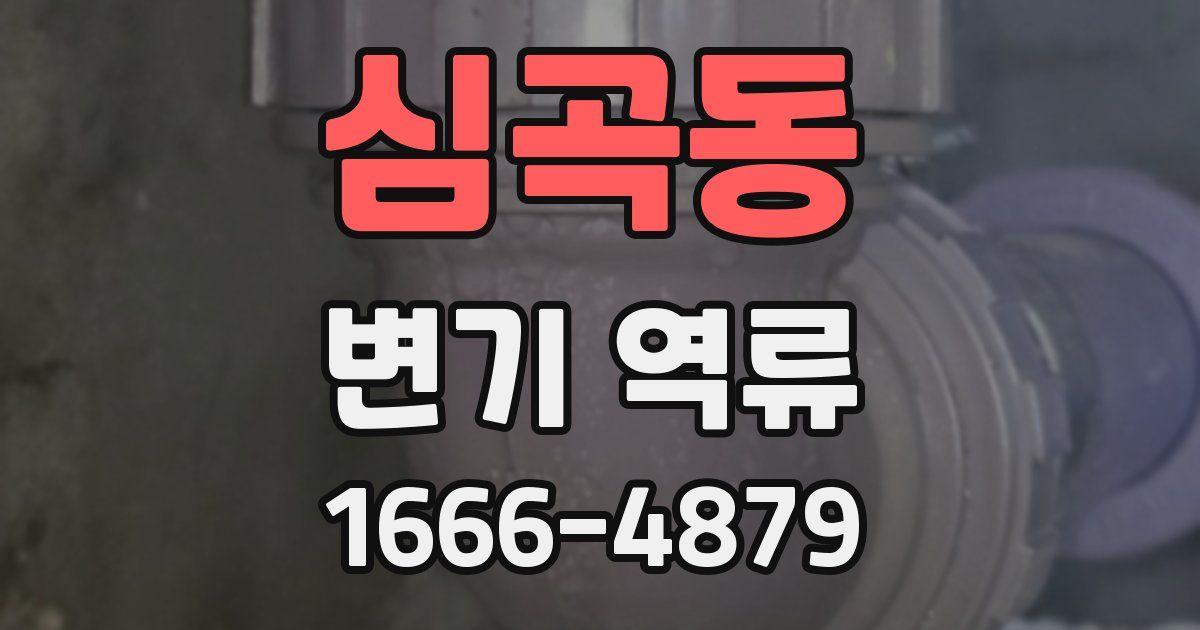심곡동 변기 역류