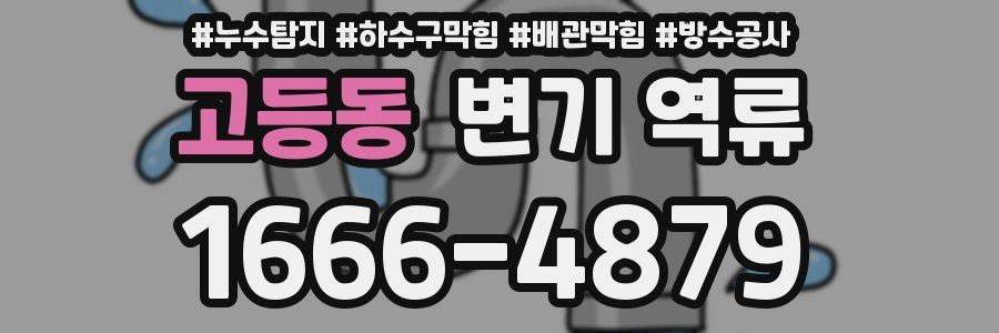 고등동 변기 역류