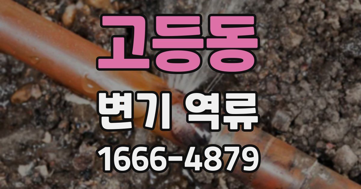 고등동 변기 역류