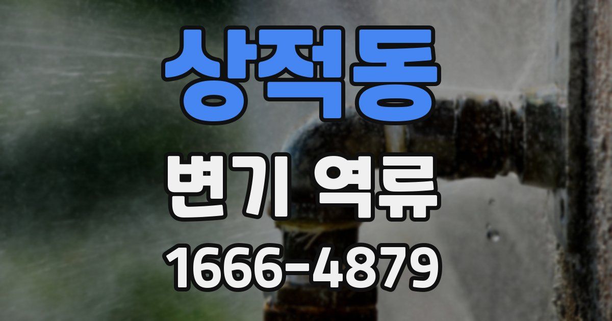 상적동 변기 역류