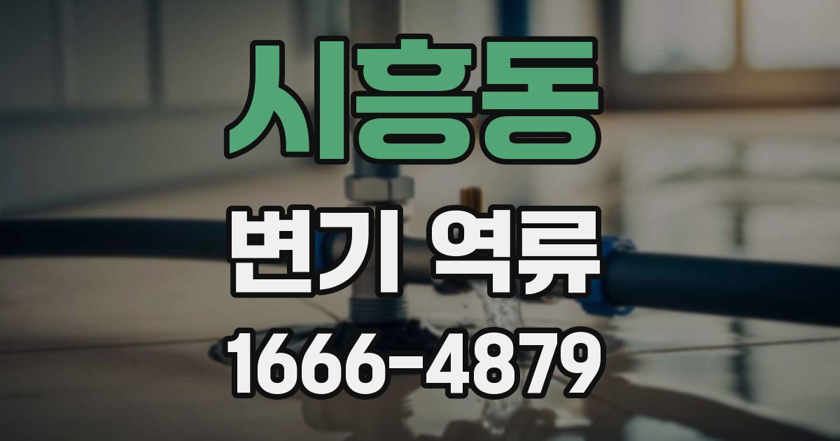 시흥동 변기 역류
