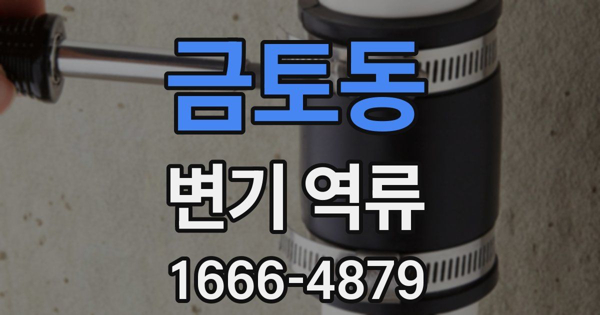 금토동 변기 역류