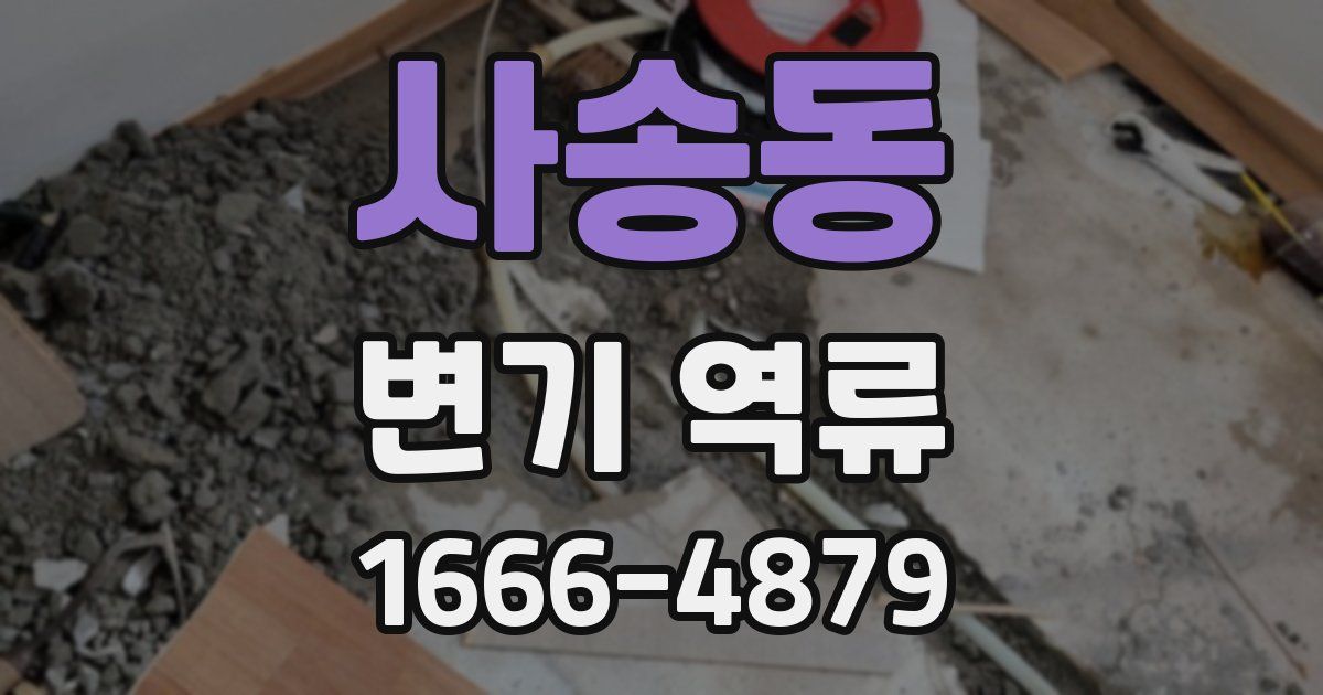 사송동 변기 역류