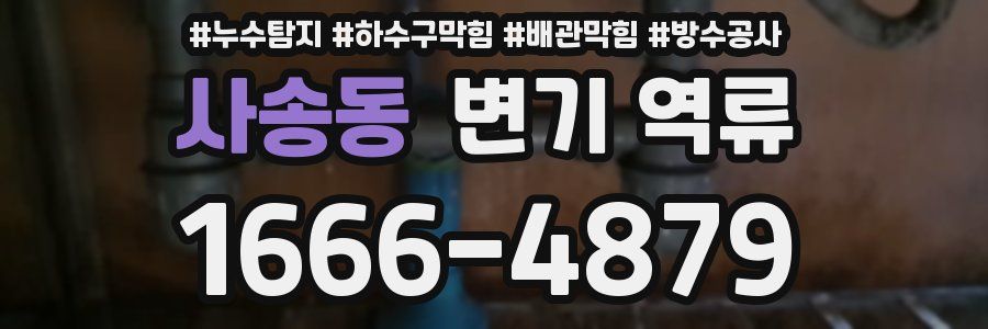 사송동 변기 역류