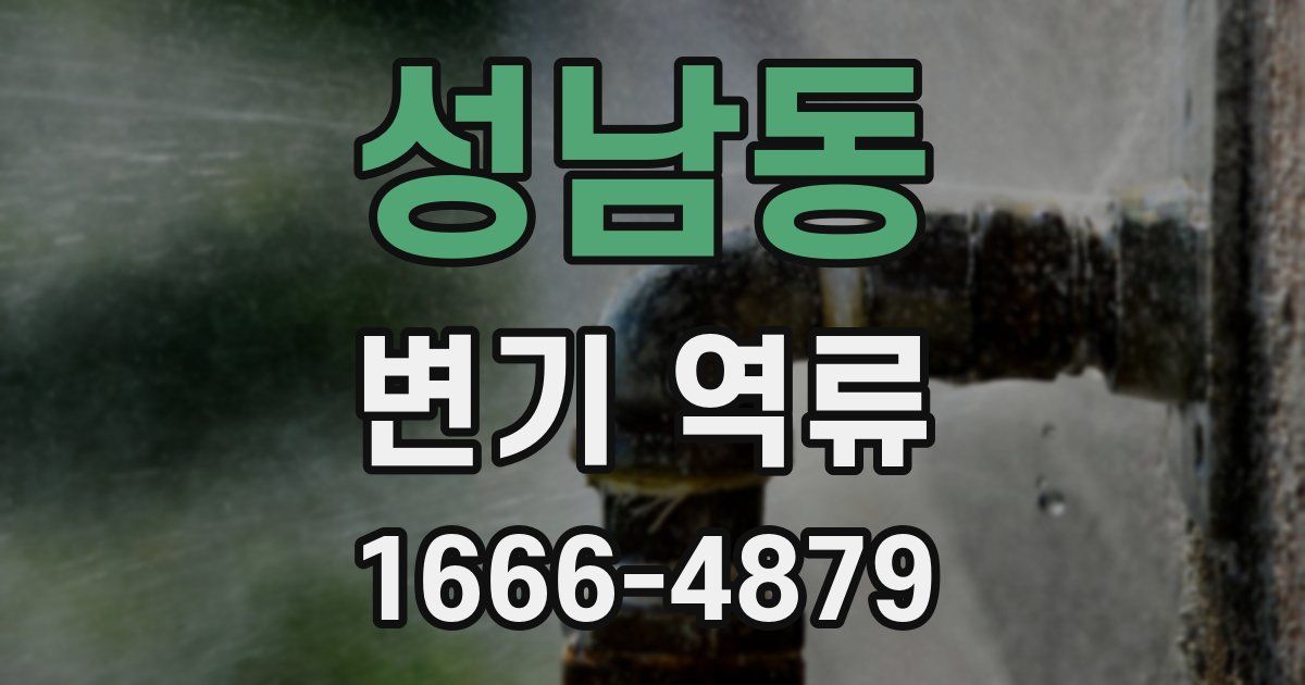 성남동 변기 역류