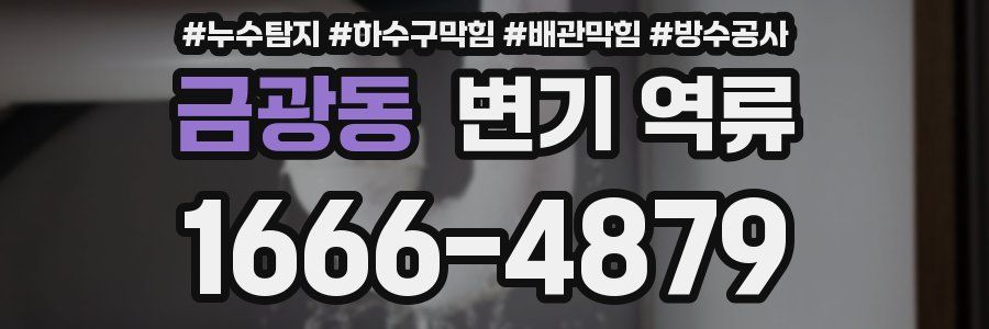 금광동 변기 역류