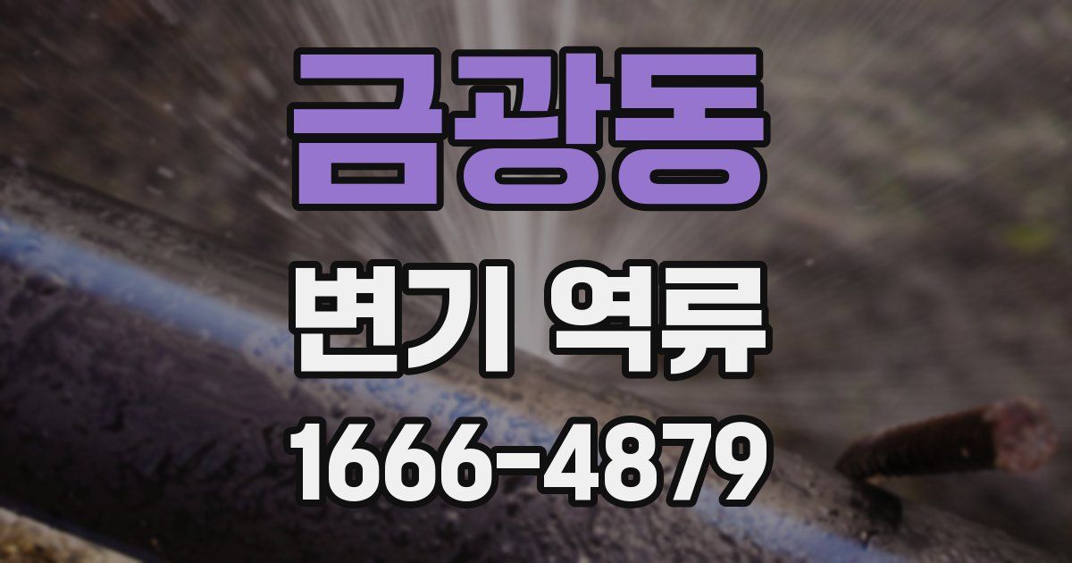 금광동 변기 역류