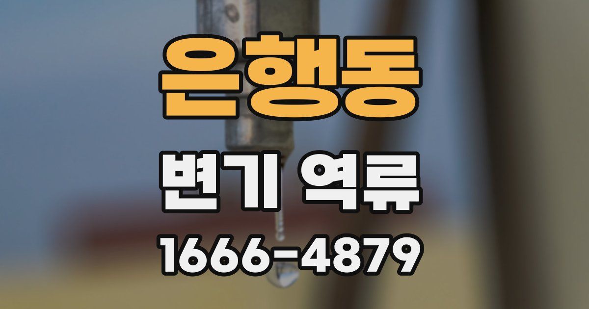은행동 변기 역류