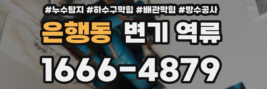 은행동 변기 역류