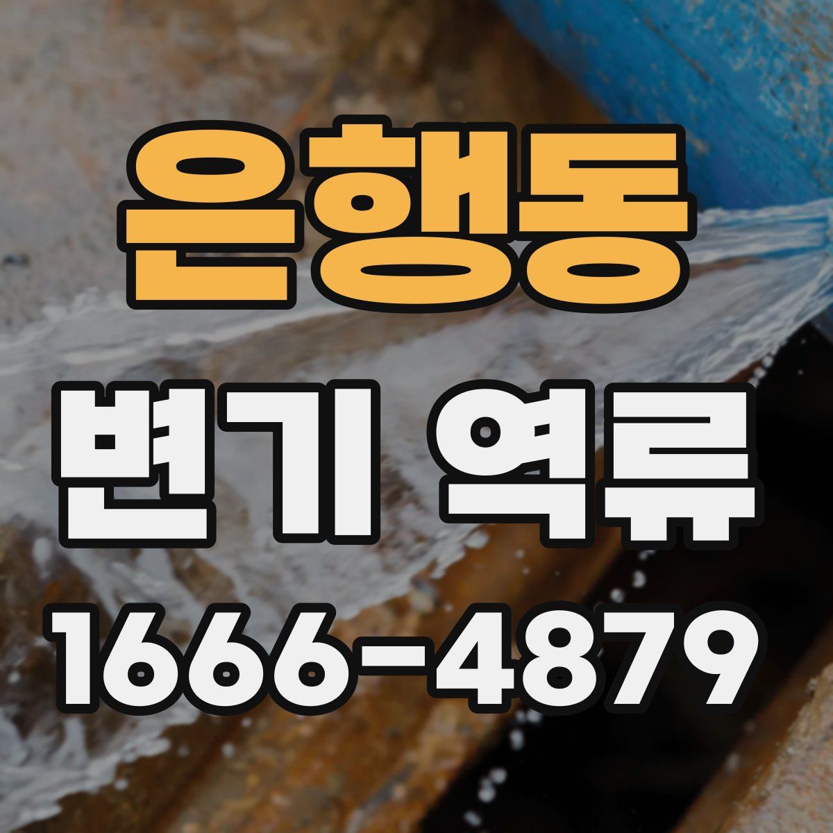 은행동 변기 역류