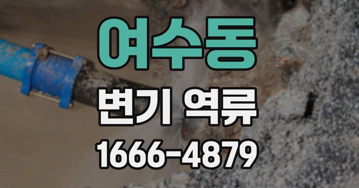 여수동 변기 역류