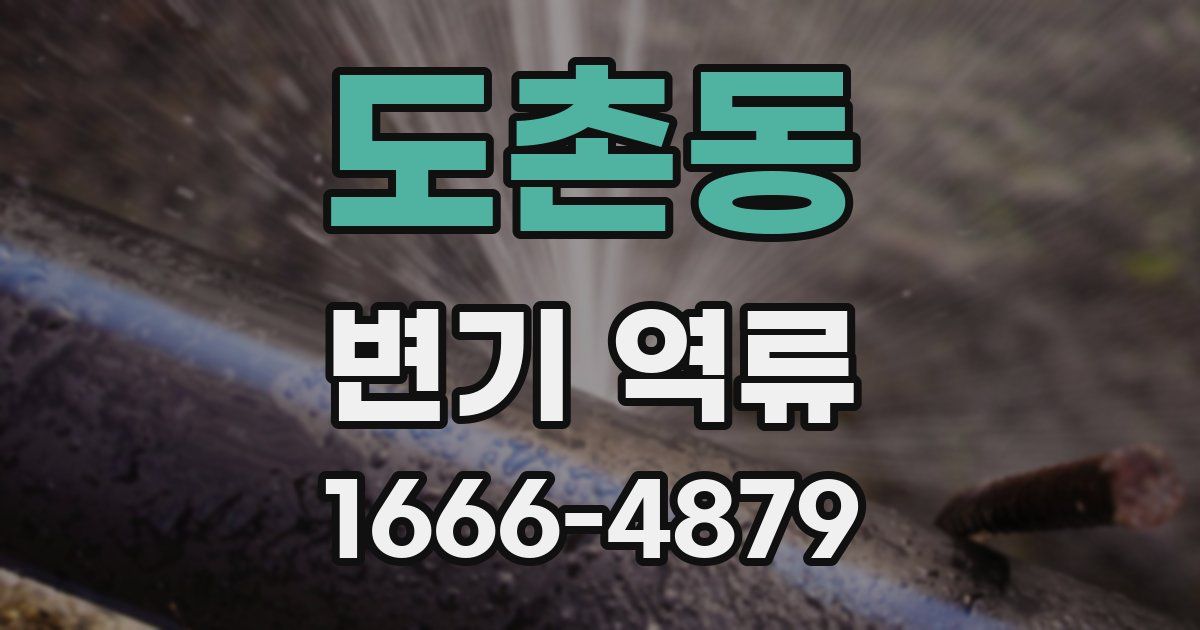 도촌동 변기 역류