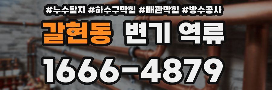 갈현동 변기 역류