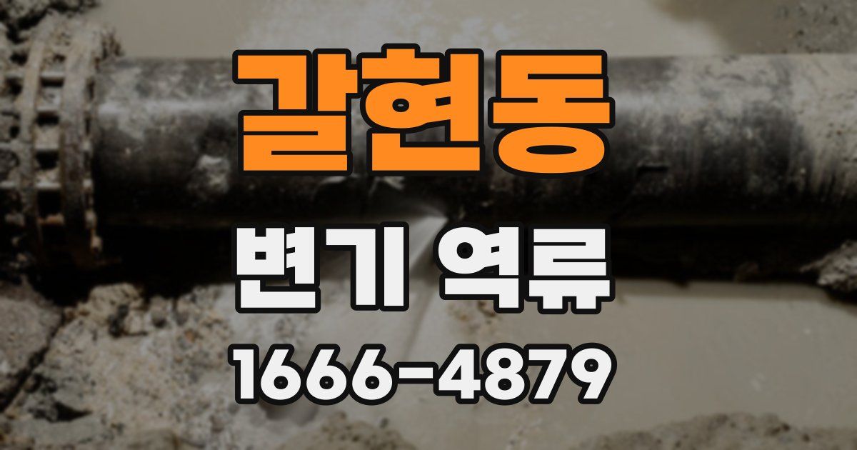갈현동 변기 역류