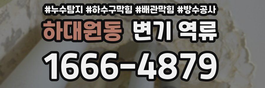 하대원동 변기 역류