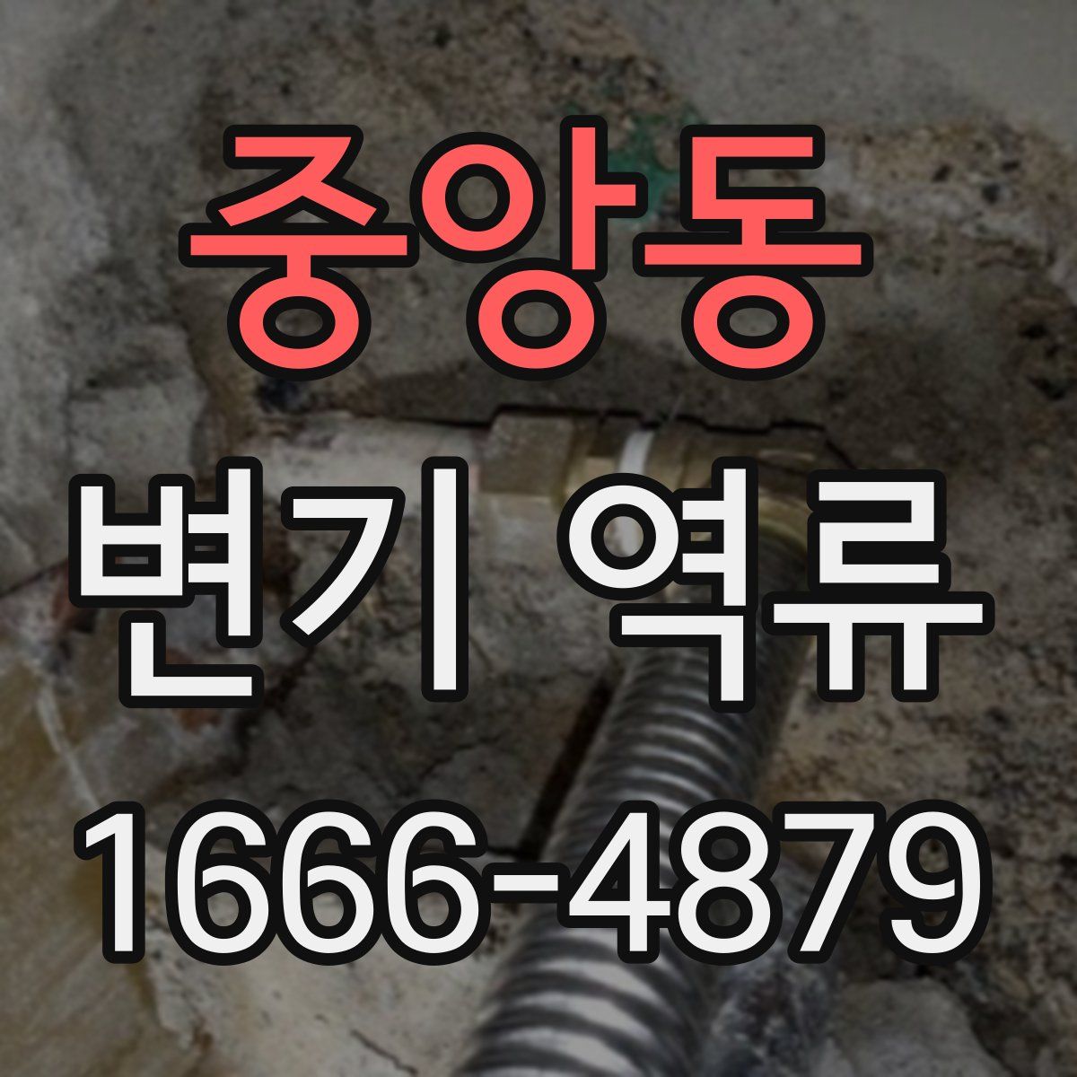 중앙동 변기 역류