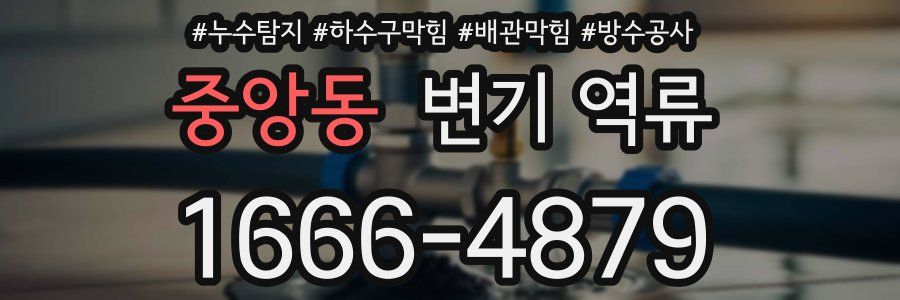 중앙동 변기 역류
