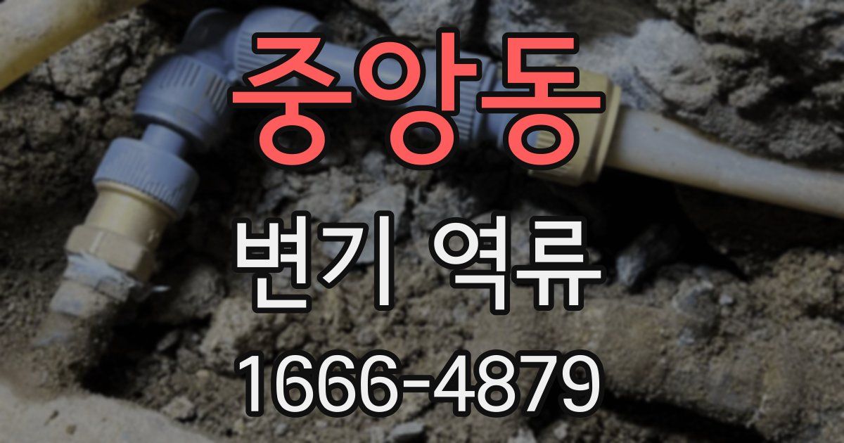 중앙동 변기 역류