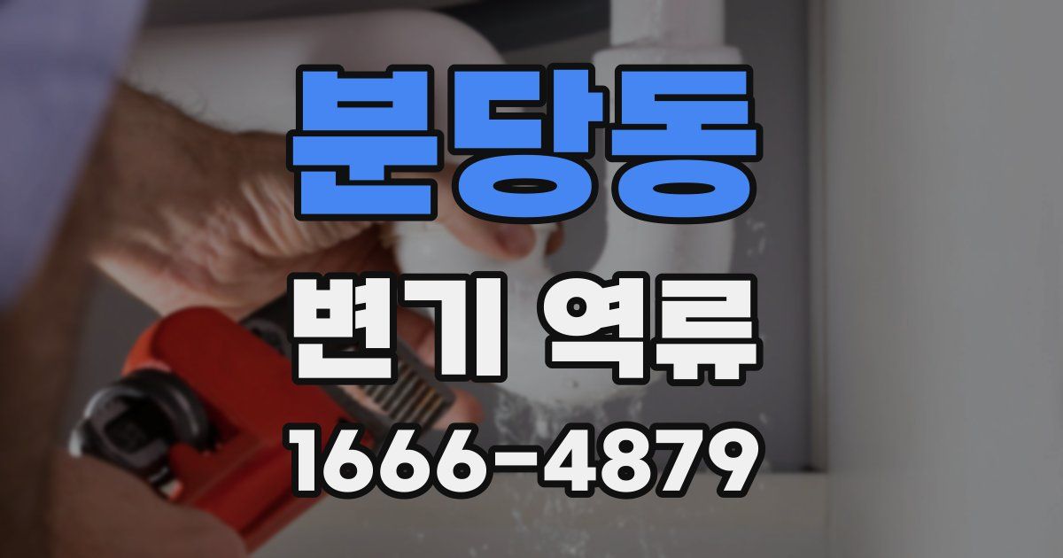 분당동 변기 역류