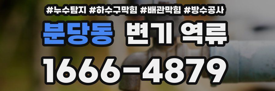분당동 변기 역류